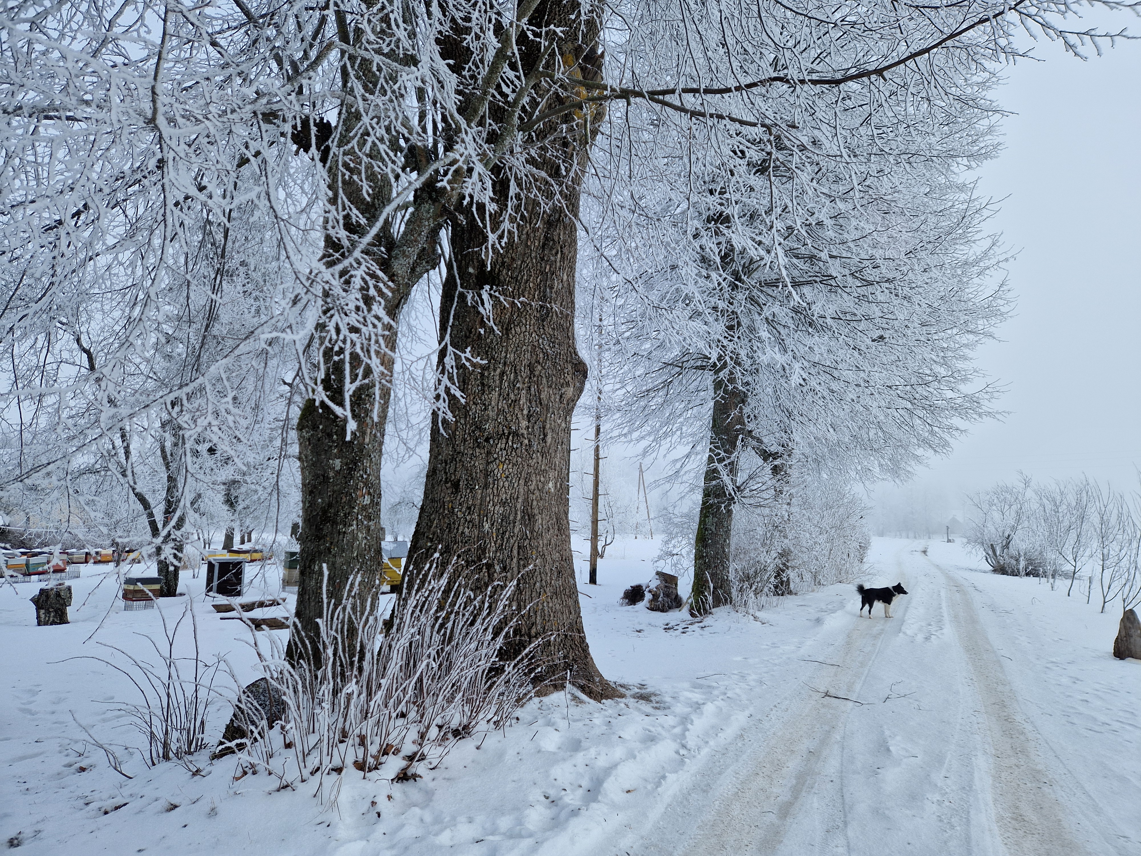 Zemnieku saimniecība Paldaži